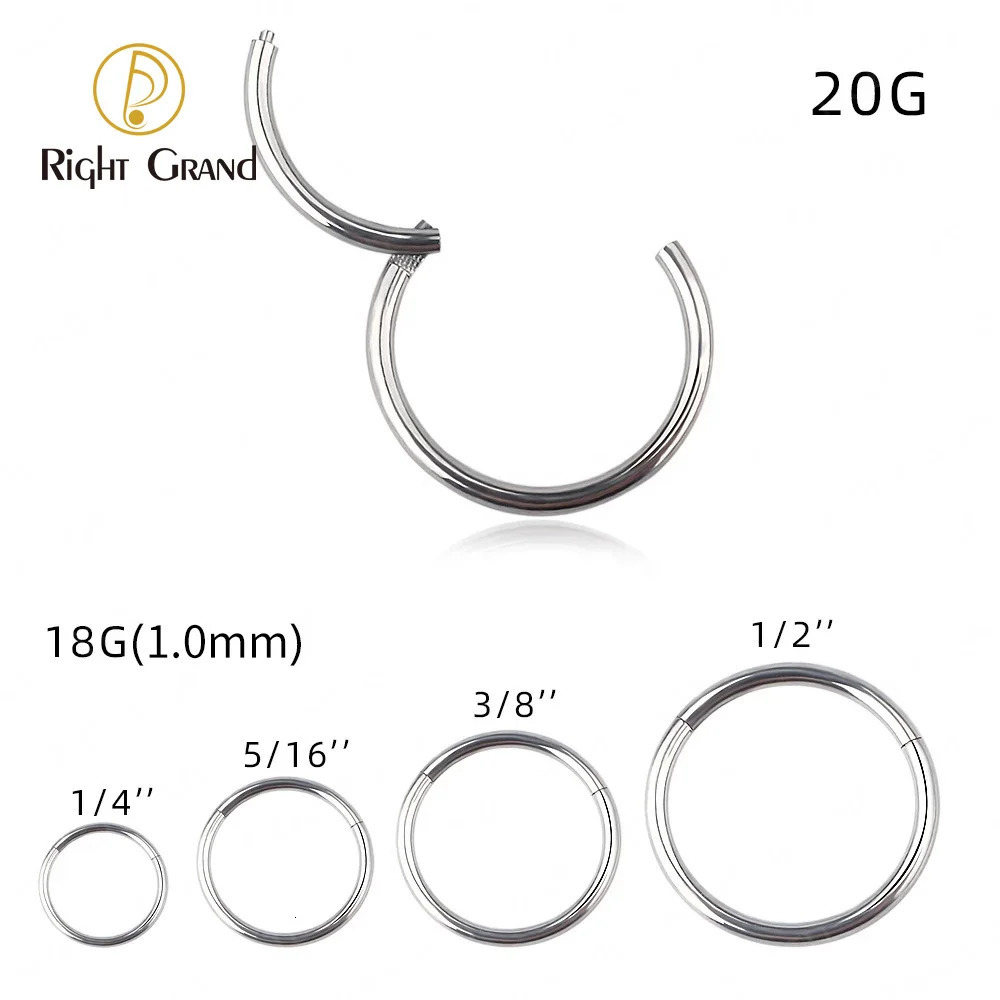 Right Grand Hypoallergenic Nose Rings ASTM 36 Septum Jewelry Hinged Segment Ring Body Piercing Hoop Lip 241125