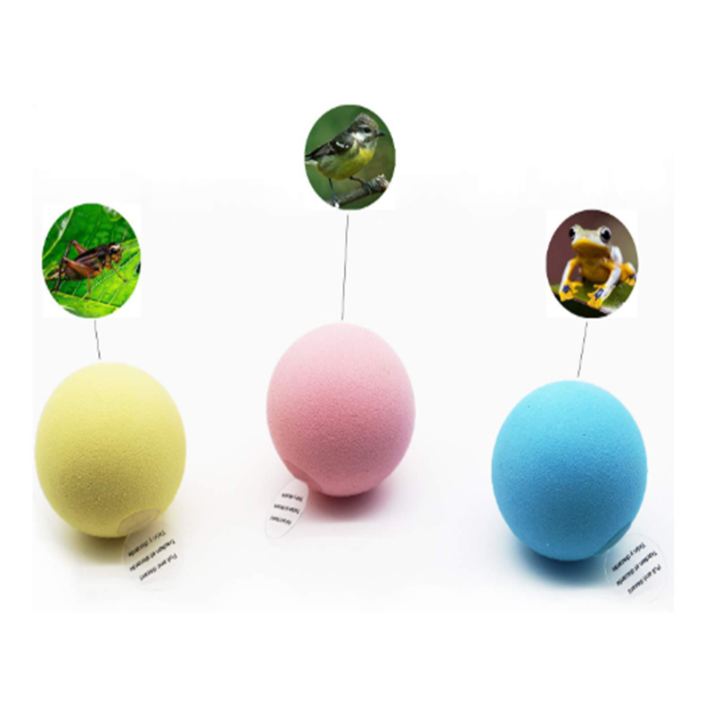 Cat toys touch making sounds attracting gravity calling balls teasing cat balls cats themselves relieving boredom toys such as catnip
