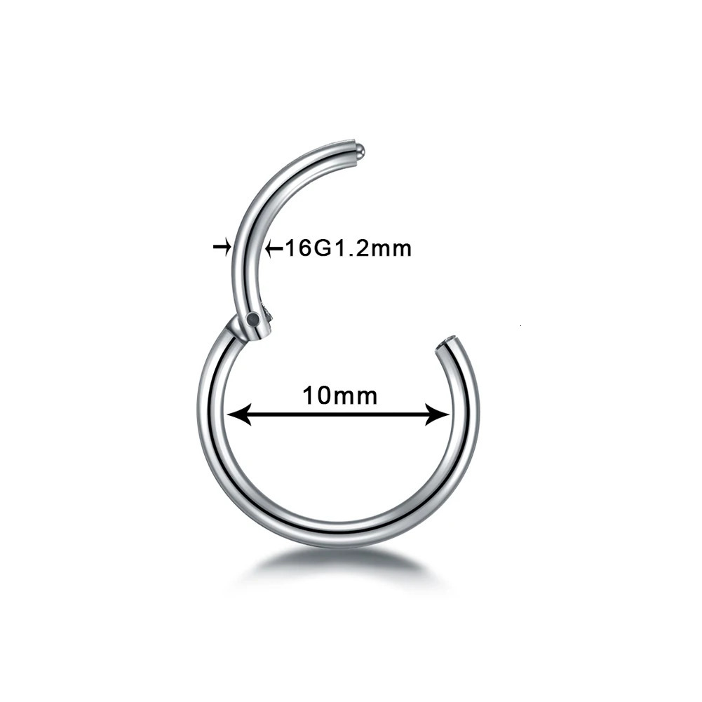 681012mm Stainless Steel Nose Rings Hoop for Women Men 18G 16G Cartilage Piercing Body Jewelry Segment Lip Ring 241125