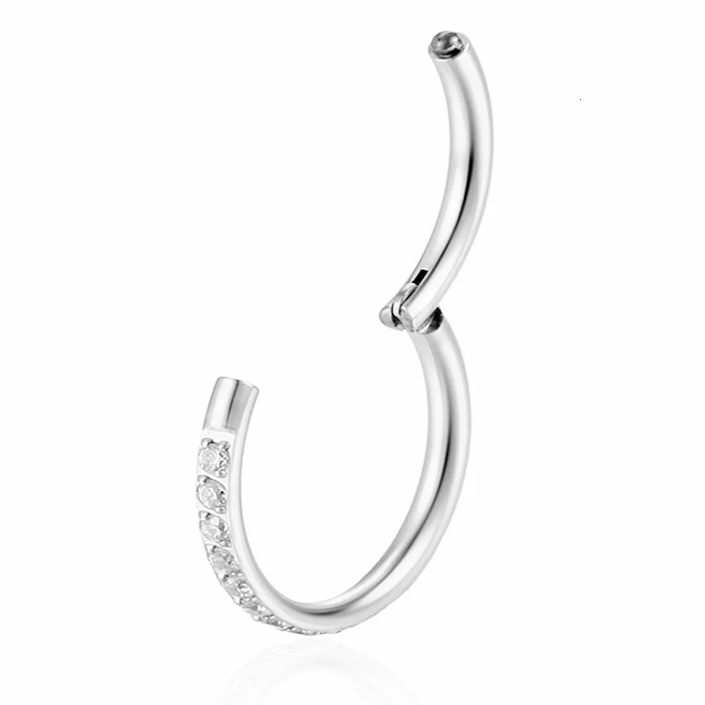 Stainless Steel Nose Ring Piercing Body Jewelry Hoop Earrings For Women Lip Zircon Septum Clicke Hinged Segment 241125