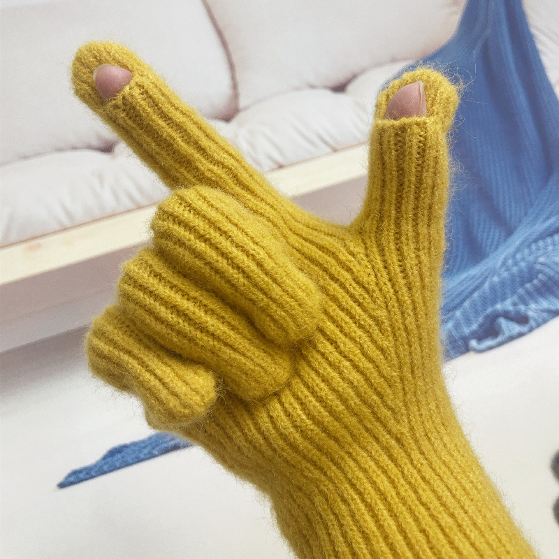 Winter fine wool two finger touch screen gloves for women knitted yarn for warmth solid color windproof and dew proof