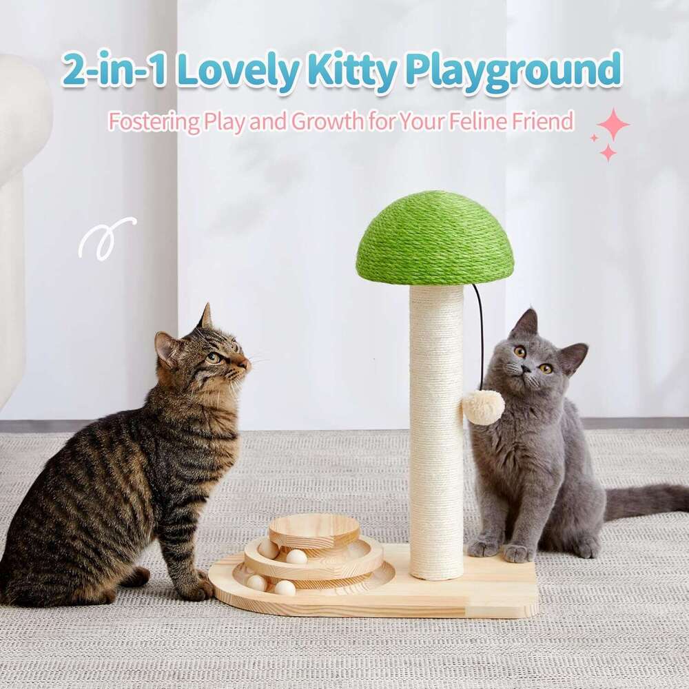Made4Pets Cat Scratchig Post, Mushroom Cat Scratcher Sisal Ropes, Iteractive Track for Small Kittes, 2-In-1 Wood Scratch Toy with Dagg Plush Ball 20 i