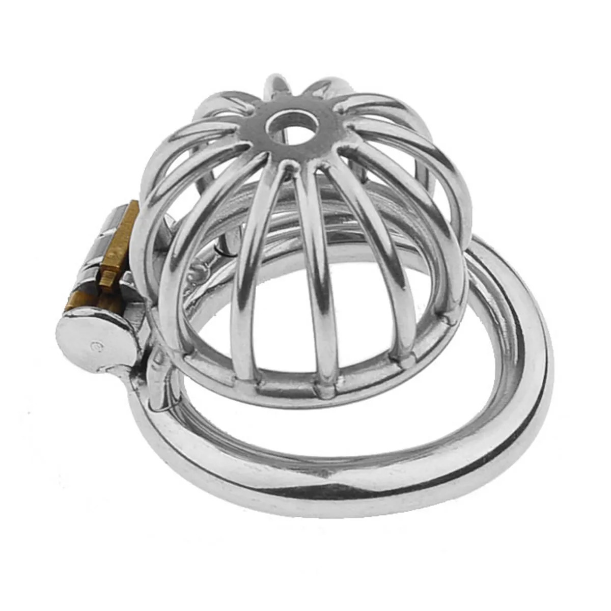 Metal Chastity Cage Male 2 Type Cock Penis Ring Slave Bondage SM Sissy Gay Devices Adult Sex Toys For Men 240423