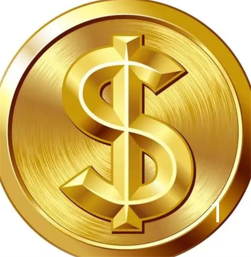 The Fast Link to Pay For Extra Price, EMS DHL Extra Freight and payment links for custom styles #11