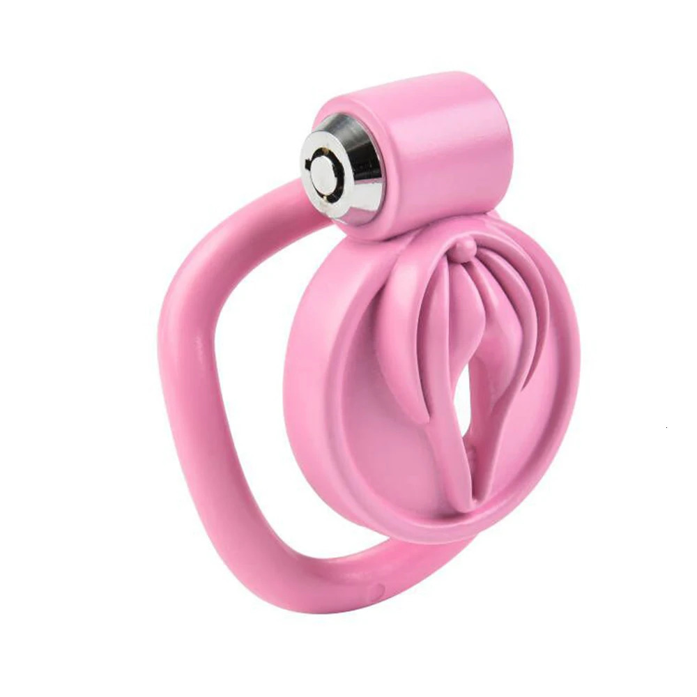 Male Small Cock Cage 5 Rings Sissy Labia Carving Tight Chastity Penis Ring with Lock Masturbation Sex Toys for Men 240423