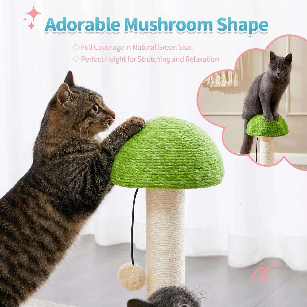 Made4Pets Cat Scratchig Post, Mushroom Cat Scratcher Sisal Ropes, Iteractive Track for Small Kittes, 2-In-1 Wood Scratch Toy with Dagg Plush Ball 20 i