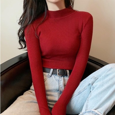 New autumn and winter styles, Korean semi high neck women's multifunctional designer long sleeved wool knitted shirt, winter sweater