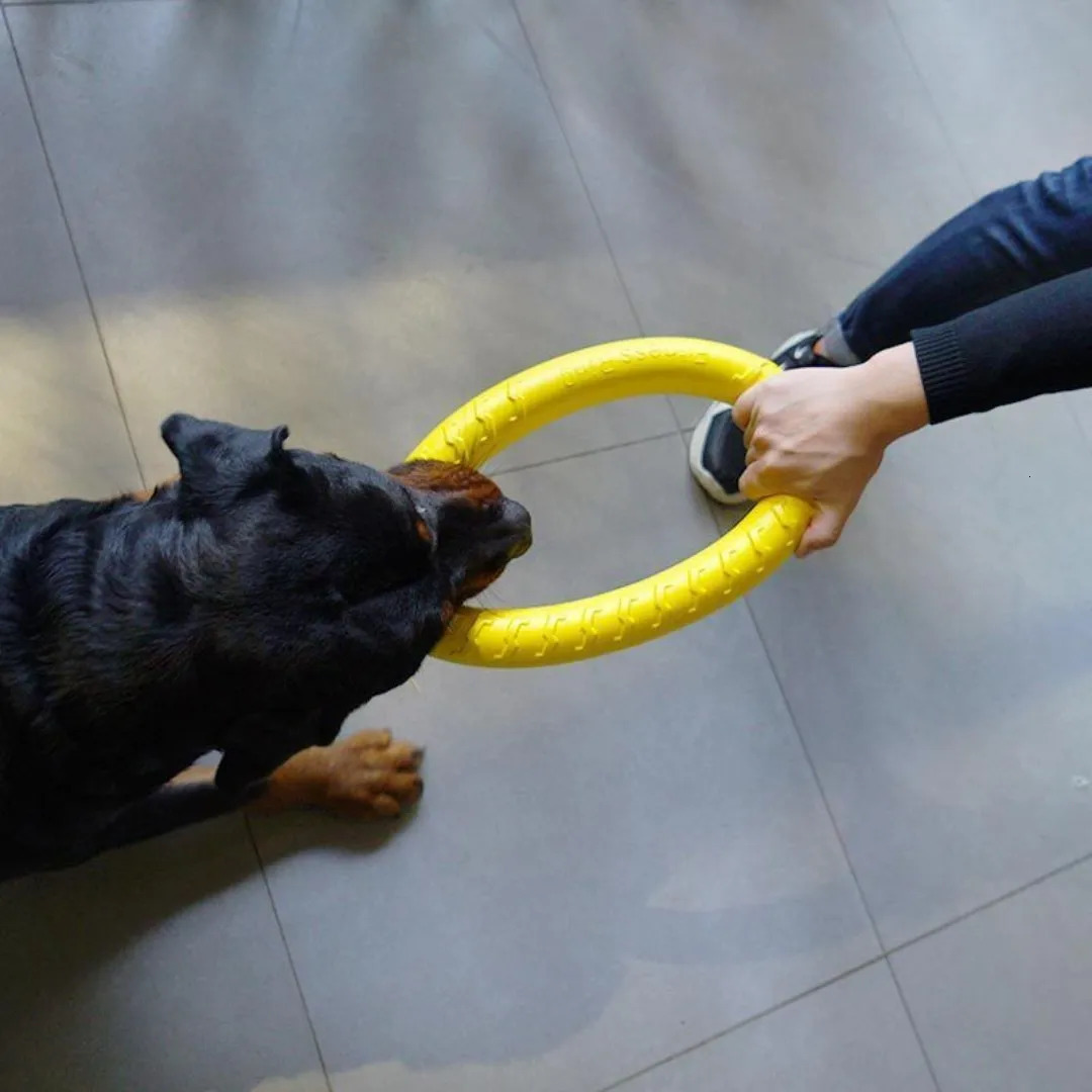 Dog Ring Toys Indestructible Chewing Flying Floating Training Tools Fetch for Small Medium Large Dogs Throwing Catching 241120