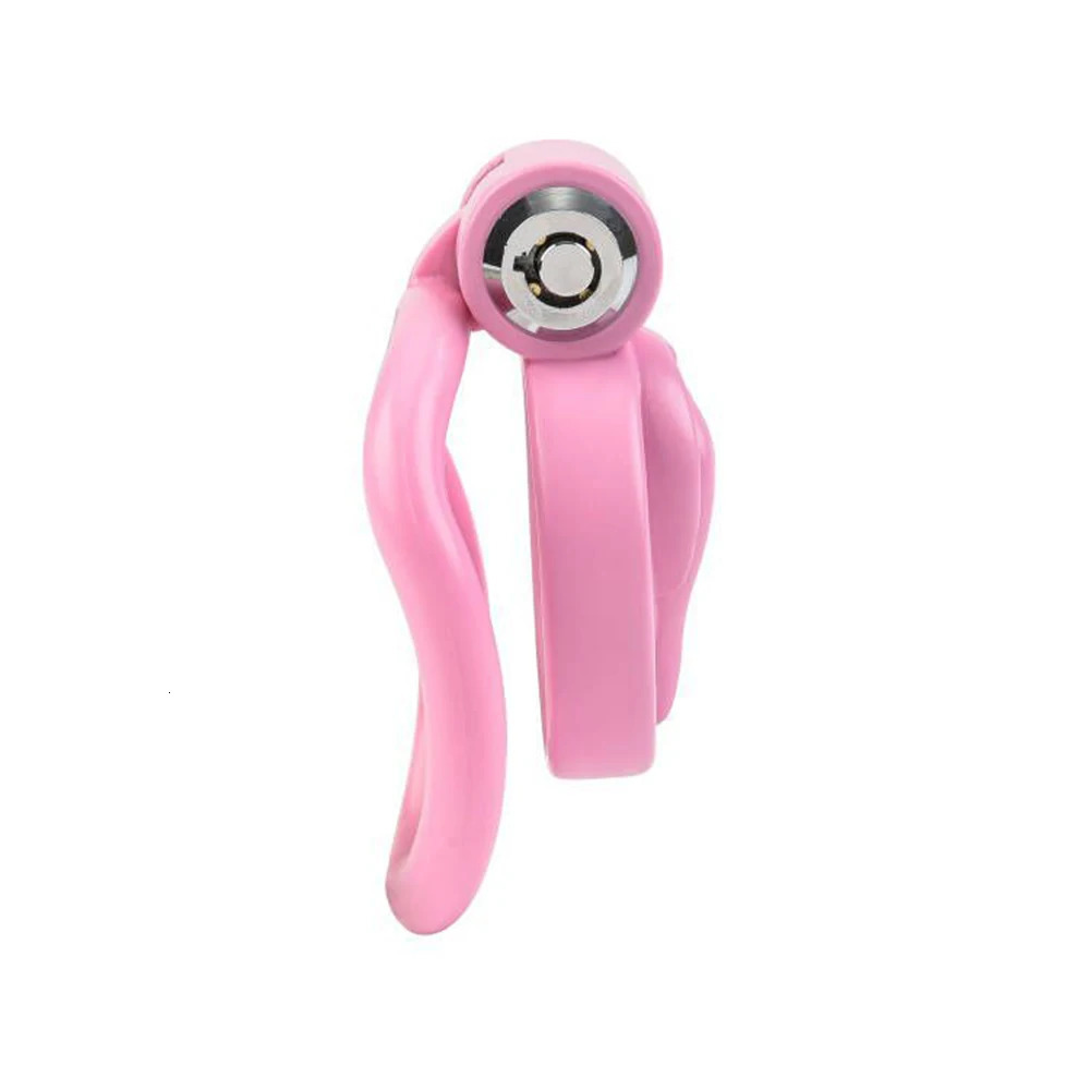 Male Small Cock Cage 5 Rings Sissy Labia Carving Tight Chastity Penis Ring with Lock Masturbation Sex Toys for Men 240423