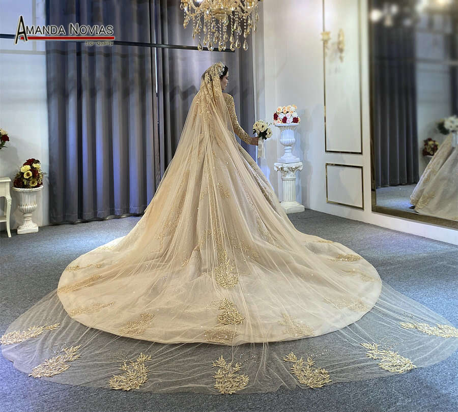 Custom Sleeves Champagne Ball Gown Wedding Dress With Long Train