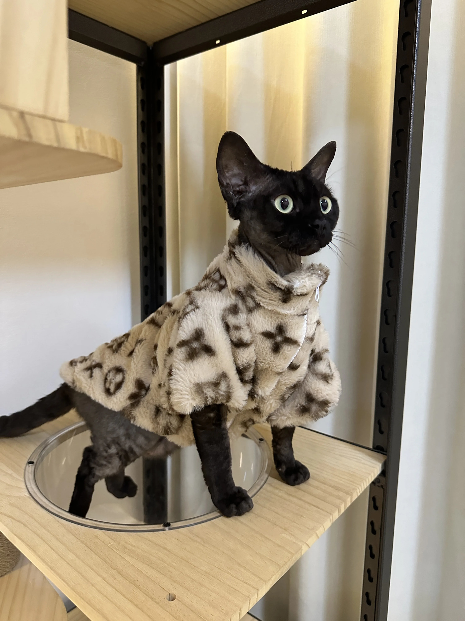 Dog clothes autumn winter schnauzer fah bichon teddy small and mediumsized dog cat smoked fur coat to keep warm 241126