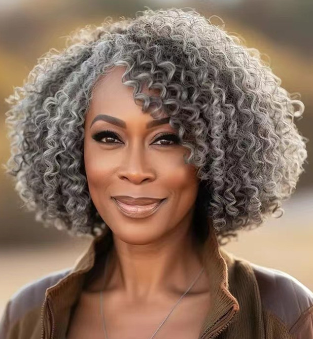 Salt and pepper Afro Kinky Curly gray Human Hair Wigs gradient two tone silver bob Grey Wig for Black Women None Lace machine made cap 130% density so
