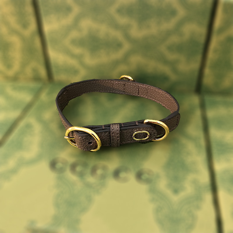 Cat Dog Collar Traction Dogs Cats Harnesses Leashes Collars Set Hairless Cat Schnauzer