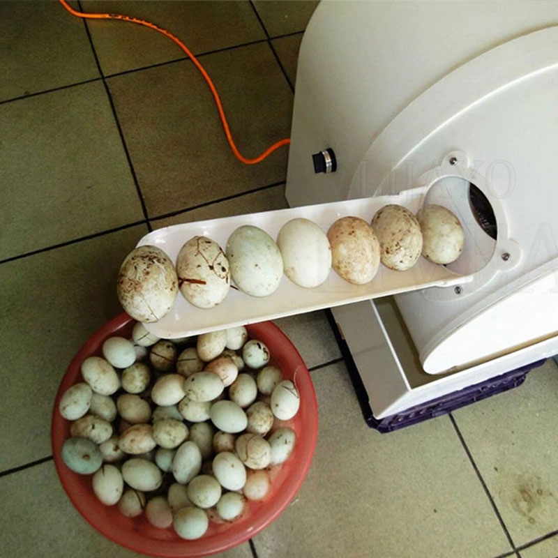 Environment-Friendly Plastic Body Brush Washing Egg Machine Cleaning Dirty Duck Eggs Machine Poultry Egg Washer And Cleaner