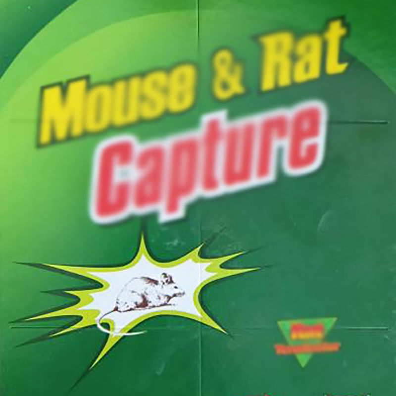 Wholesale customization of super strong mouse stickers on sticky mouse boards