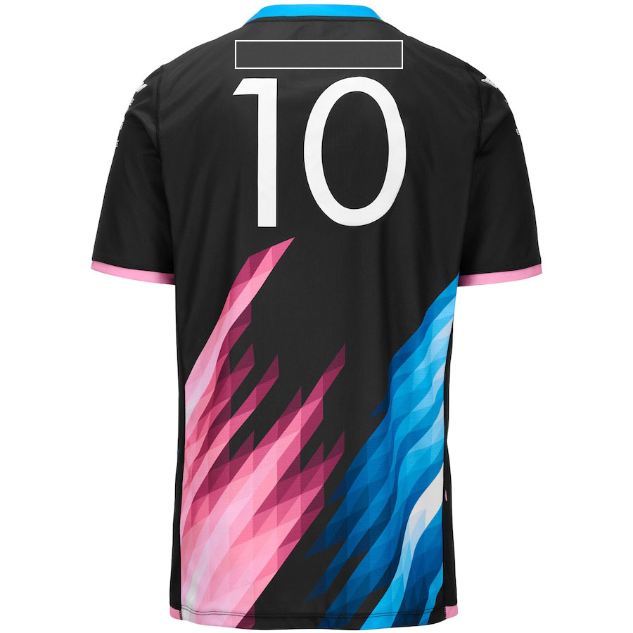 2024 F1 Team No.10 No.33 Driver Formula 1 Fans New Season Racing Clothing Summer Men's O-Neck Jersey T-shirt Plus Size free shipping