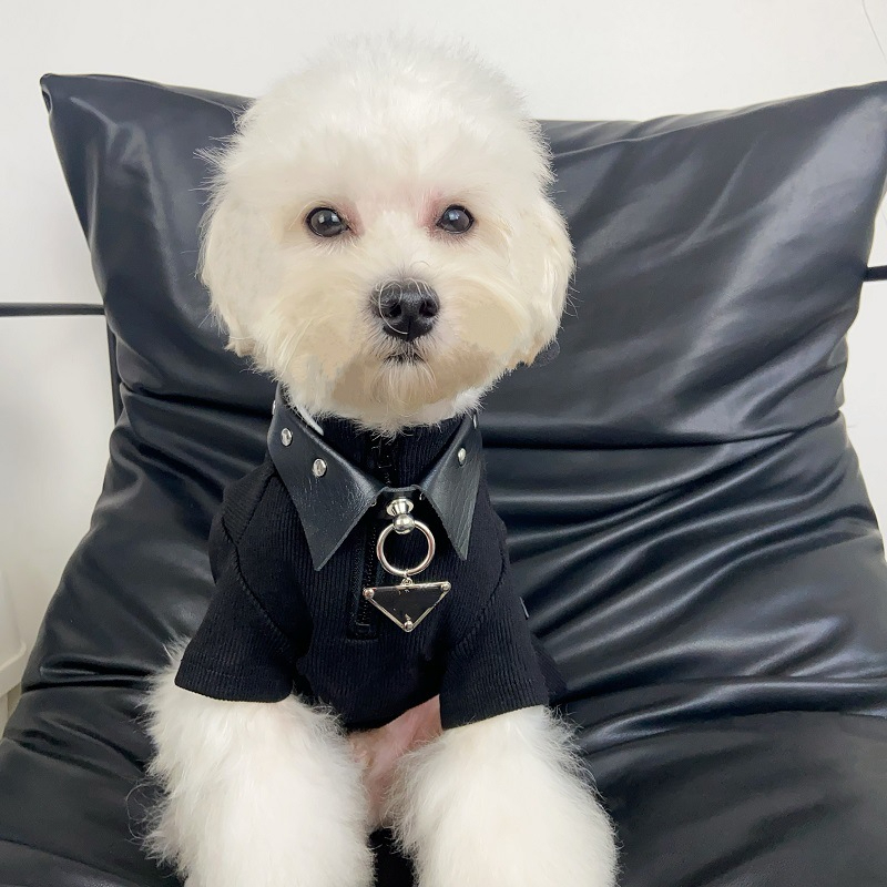 Wholesale Pet Collar Teddy Bichon Schnauzer Jarre Aero Bull Adjustable Hand Holding Rope Dog Collars