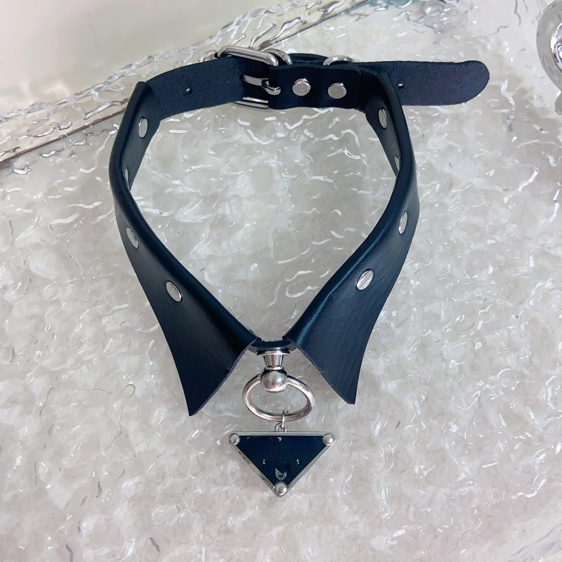 Wholesale Pet Collar Teddy Bichon Schnauzer Jarre Aero Bull Adjustable Hand Holding Rope Dog Collars