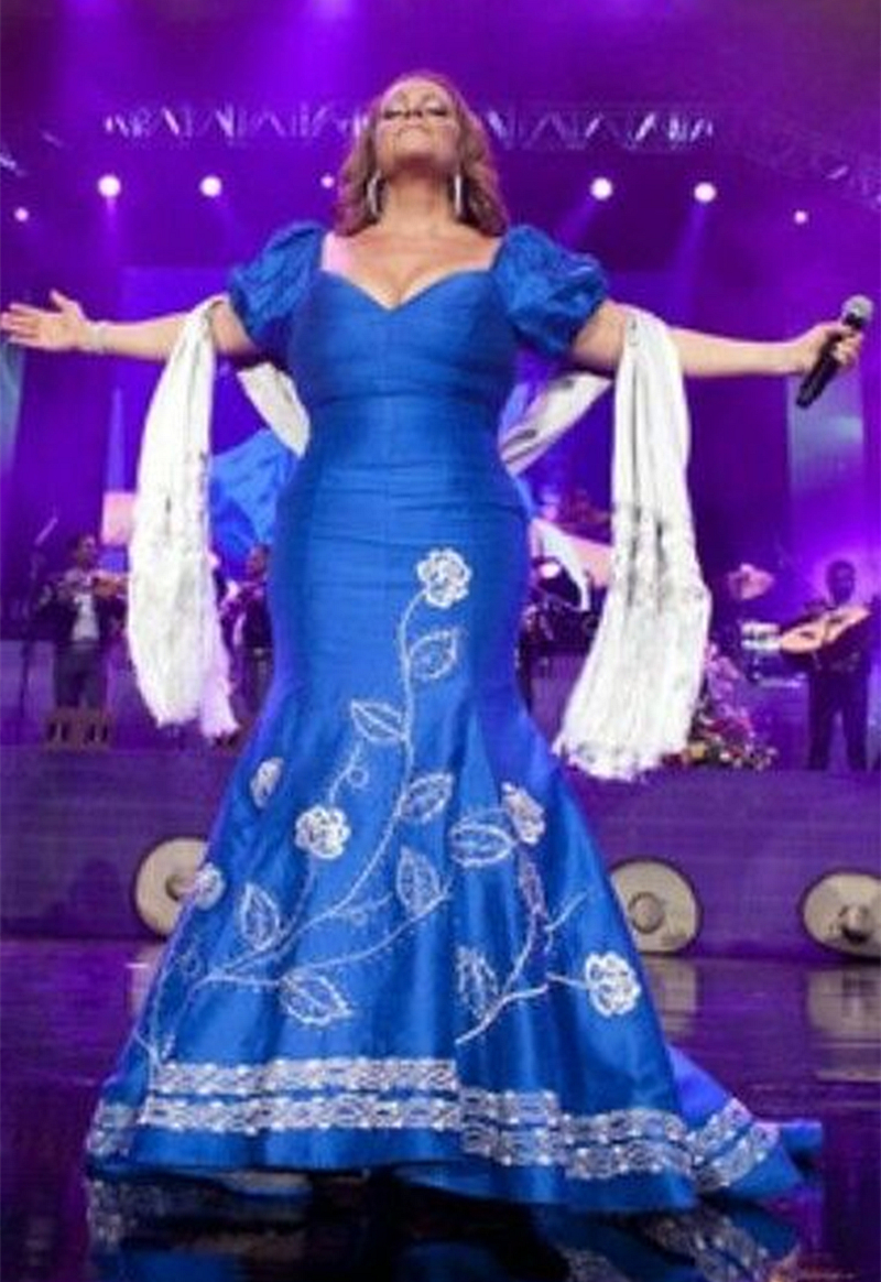 Elegant Mexican Embroidery Mermaid Prom Dresses Short Sleeves Blue Long Formal Evening Gowns Plus Size Special Occasion Dress For Women