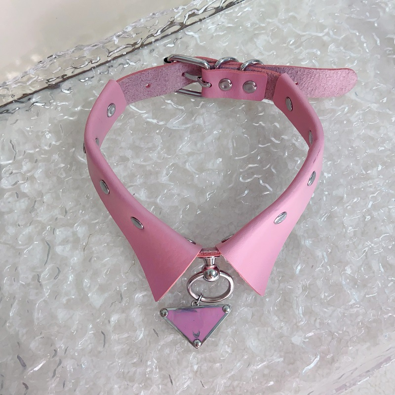 Wholesale Pet Collar Teddy Bichon Schnauzer Jarre Aero Bull Adjustable Hand Holding Rope Dog Collars