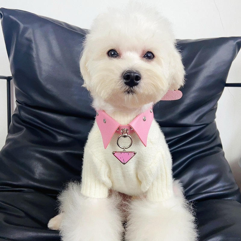 Wholesale Pet Collar Teddy Bichon Schnauzer Jarre Aero Bull Adjustable Hand Holding Rope Dog Collars