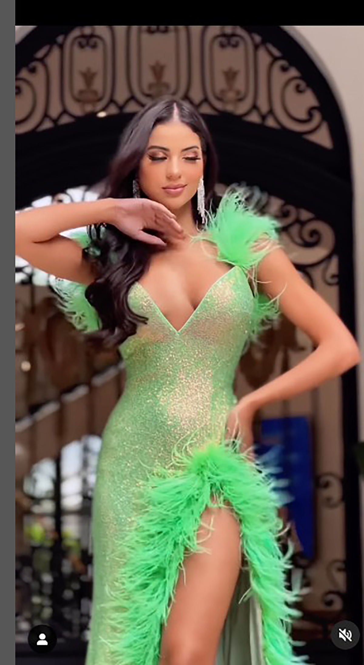 Sexy V Neck Mermaid Prom Dresses Shiny Sleeveless Sequined Lace Formal Occasion Dress Feather Aso Ebi Evening Gown