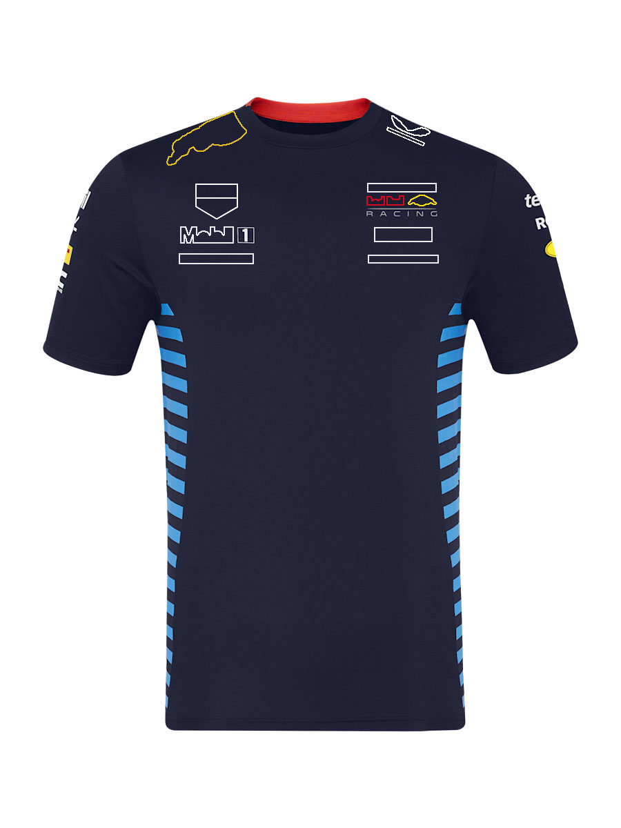 2024 F1 Team Formula 1 Driver Polo Shirts T-shirt Men's Racing Clothing Tops New Season Motorsport Fans T-Shirt Jersey free shipping