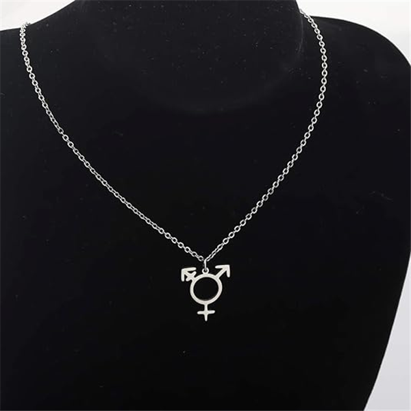 10PCS Transgender Symbol Pendant Necklace Male and Female Trans Gender Sign Stainless Steel Lgbt Queer Bisexual Lesbian Pride Gay Charm Chain Choker