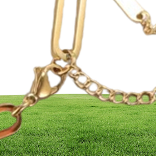 Link Chain ZMFashion Paperclip Cuban Bracelet For Women Men Stainless Steel Rectangle Link Bracelets Anklet Jewelry Whole Gif