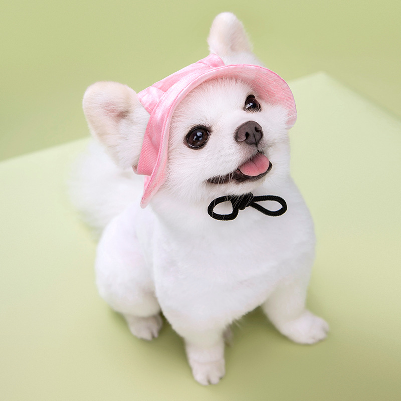 Pet Cap, Round Fashion Canvas Princess Hat Baseball Adjustable Chin Strap Sun Protection Visor for Puppy Dog (M, Color) 6 Color Wholesale A951