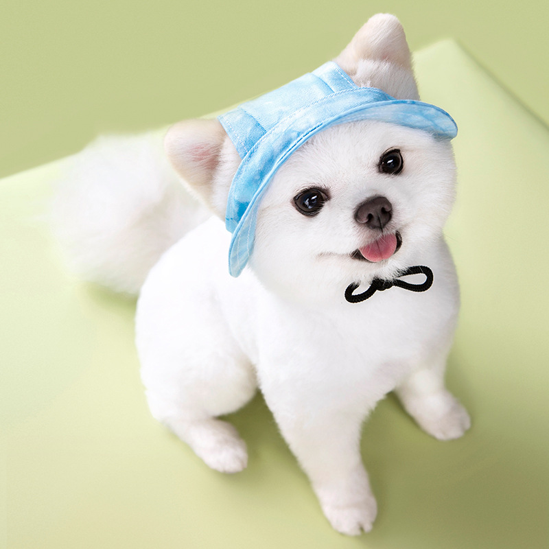 Pet Cap, Round Fashion Canvas Princess Hat Baseball Adjustable Chin Strap Sun Protection Visor for Puppy Dog (M, Color) 6 Color Wholesale A951