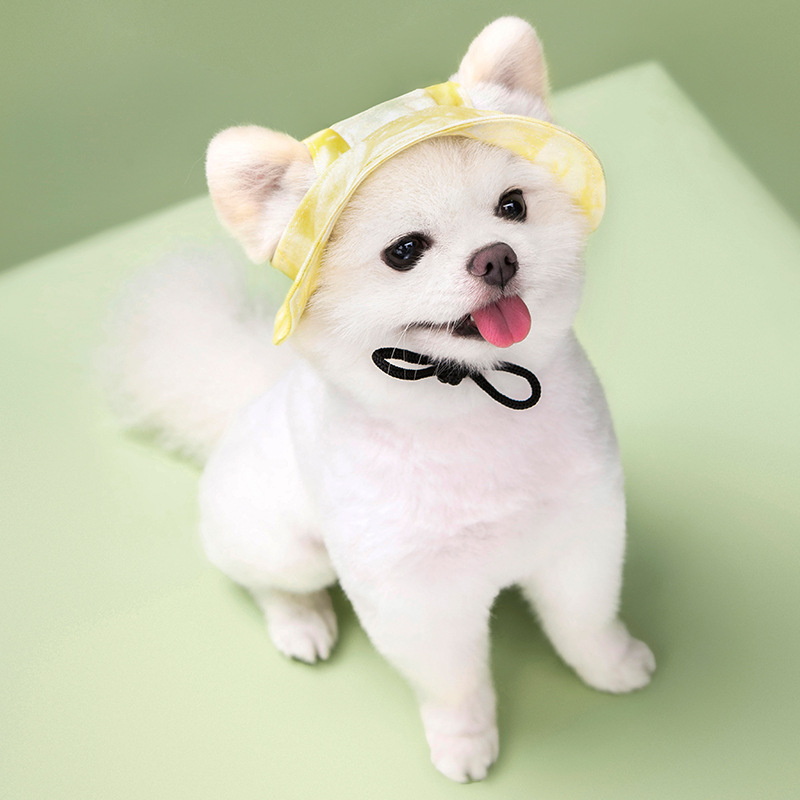 Pet Cap, Round Fashion Canvas Princess Hat Baseball Adjustable Chin Strap Sun Protection Visor for Puppy Dog (M, Color) 6 Color Wholesale A951