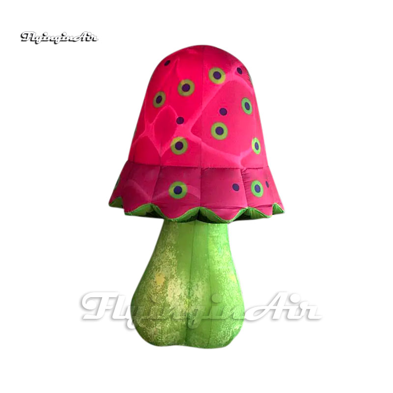 Various Lighting La… - image