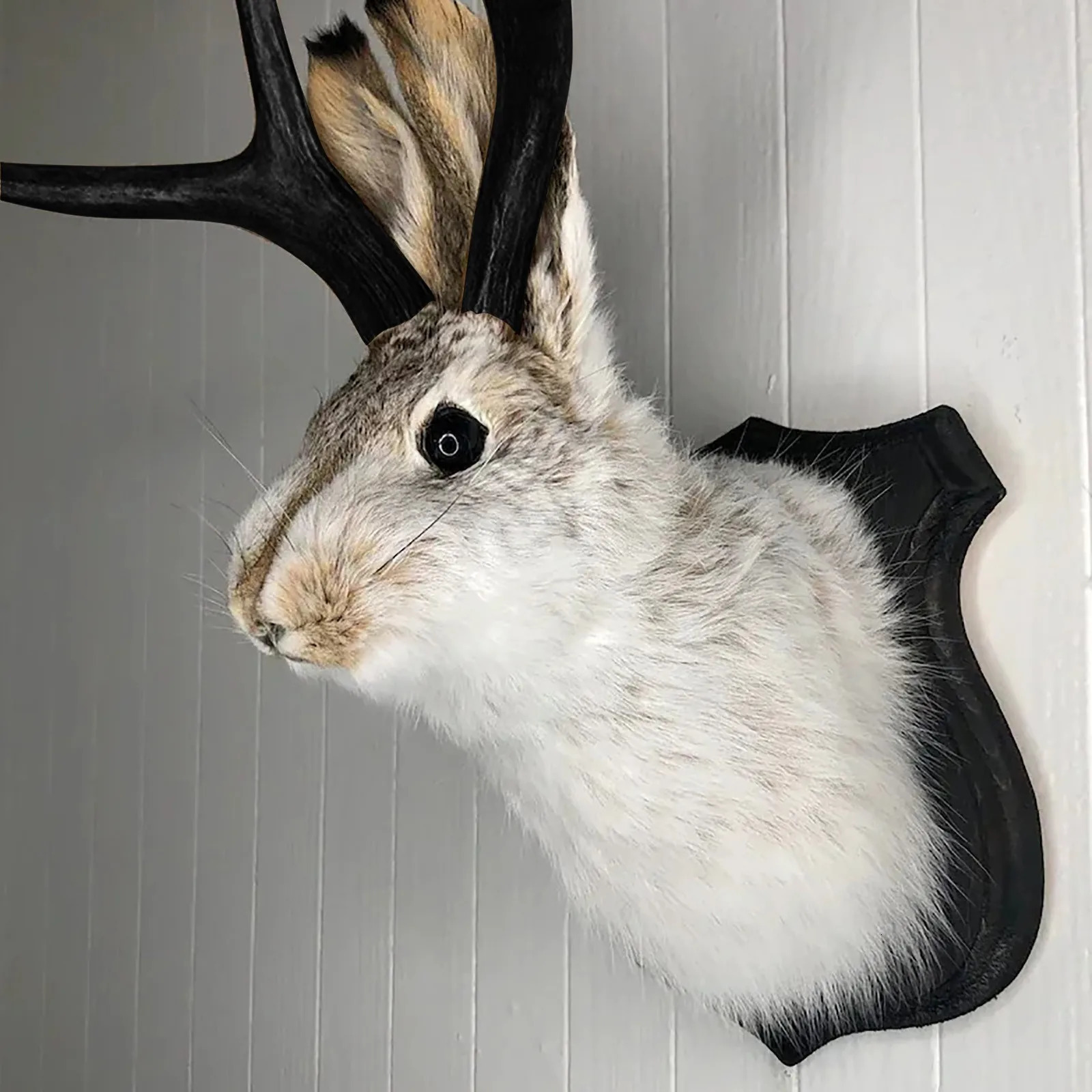 Taxidermy Head Wall Decor Deer Head Wall Mount Deer Head Wall Mountfor Home Wall Decoration. Rabbit Ornaments Wall Decor 240604