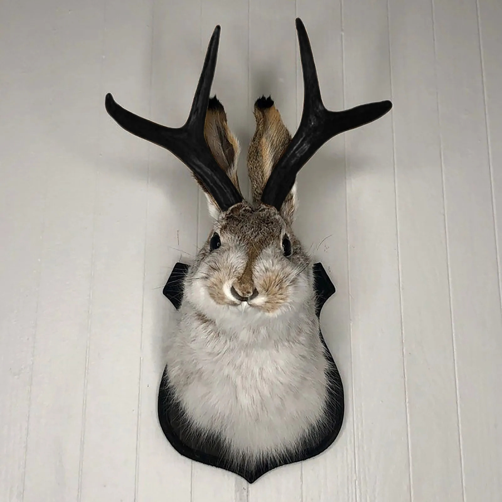Taxidermy Head Wall Decor Deer Head Wall Mount Deer Head Wall Mountfor Home Wall Decoration. Rabbit Ornaments Wall Decor 240604