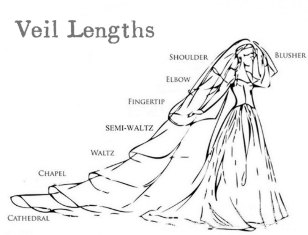 New Arrival Bridal Veil 500cm Length 200cm Width Wedding Veil Appliques One-Layer Wedding Veils With Comb High Quality Cathedral Veil Custom Made
