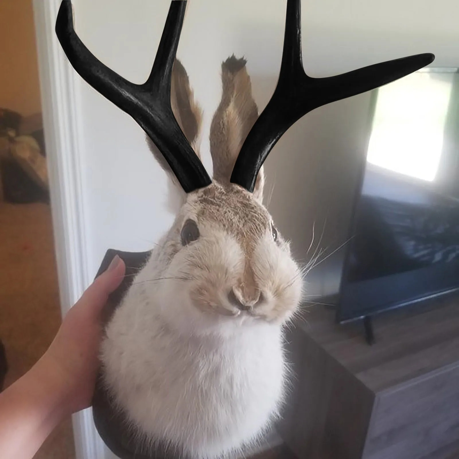 Taxidermy Head Wall Decor Deer Head Wall Mount Deer Head Wall Mountfor Home Wall Decoration. Rabbit Ornaments Wall Decor 240604