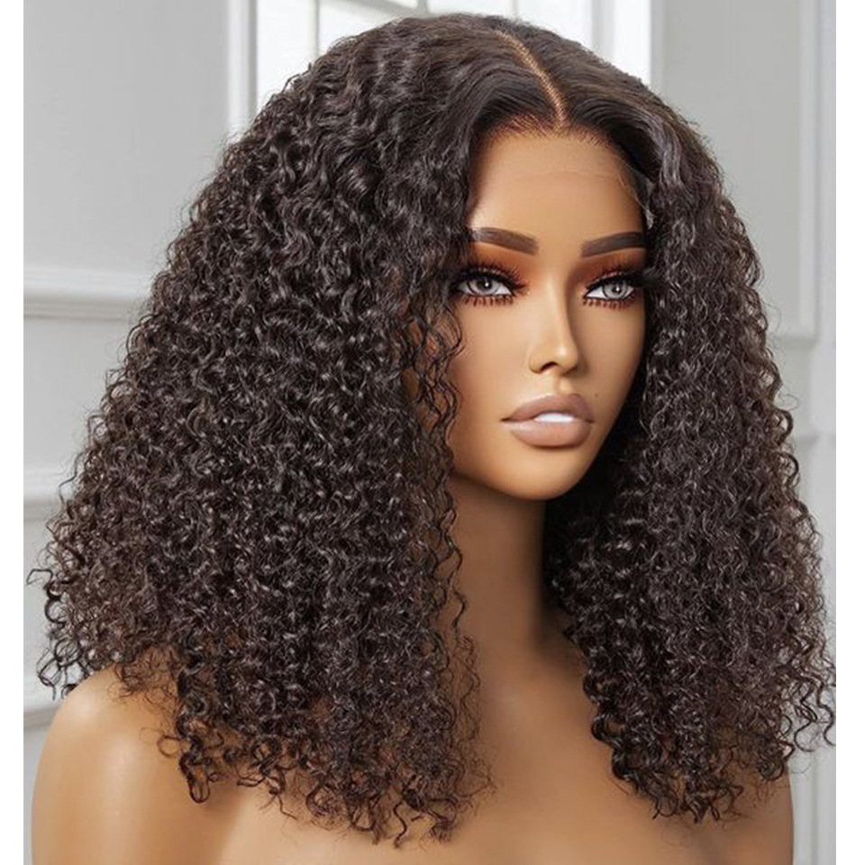 200 Density Kinky Curly Human Hair Wig 4x4 Closure Glueless 100% Human Hair Natural Black Women' Curly Wig