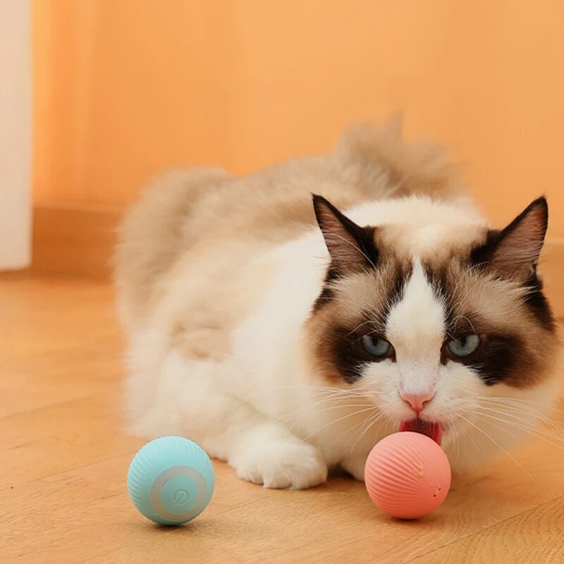 free shipping ity Intelligent Rolg Ball Cat USB Charging Accessorie Grinding Teeth Resistant To Bite Ase Pet Toys