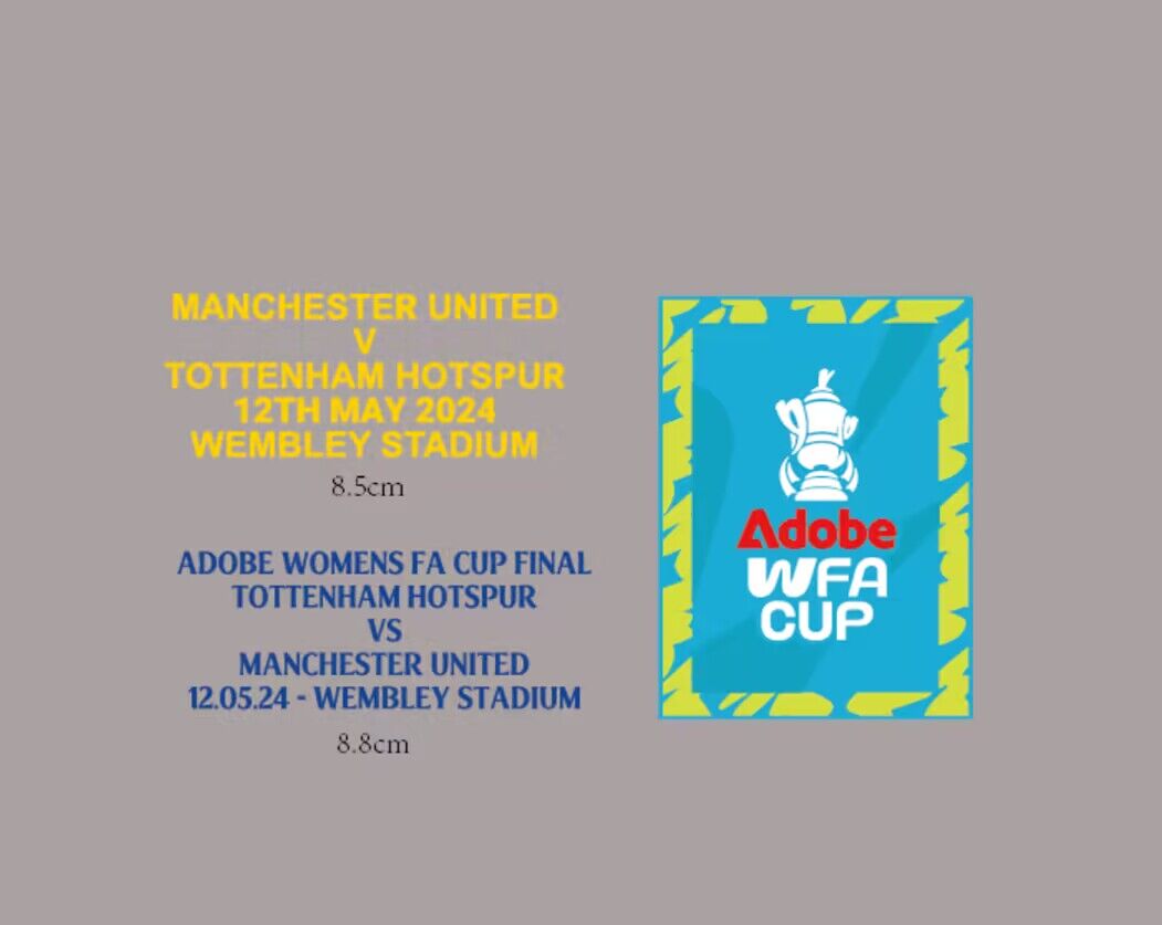 Wfa Cup Final Match… - image