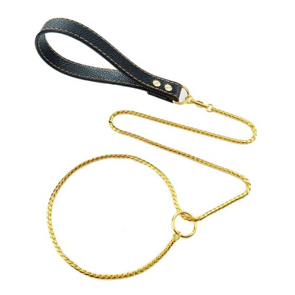 Stainless Steel Dog Slip Lead Dog Chain Leash for Small and Big Dogs No Pull Puppy Pet Training Leash Slip Chain Collar for Dogs
