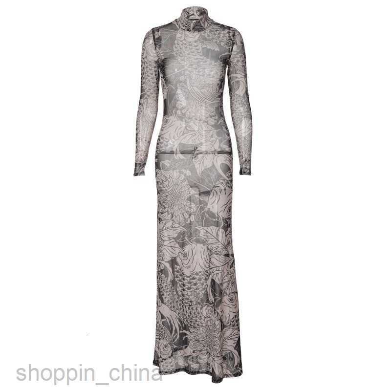 Basic Casual Dresses Women's Summer New Fashion Mesh Print Perspective Neck Slim Fit Dress for Women