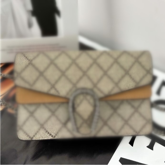 luxury Designer bag for Women Shoulder Bag Fashion Chain Casual Crossbody Bags Body Ladies Mini Bag