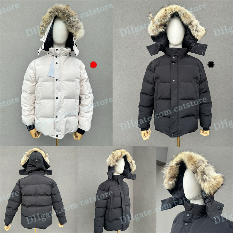Jacket Winter Fourr… - image