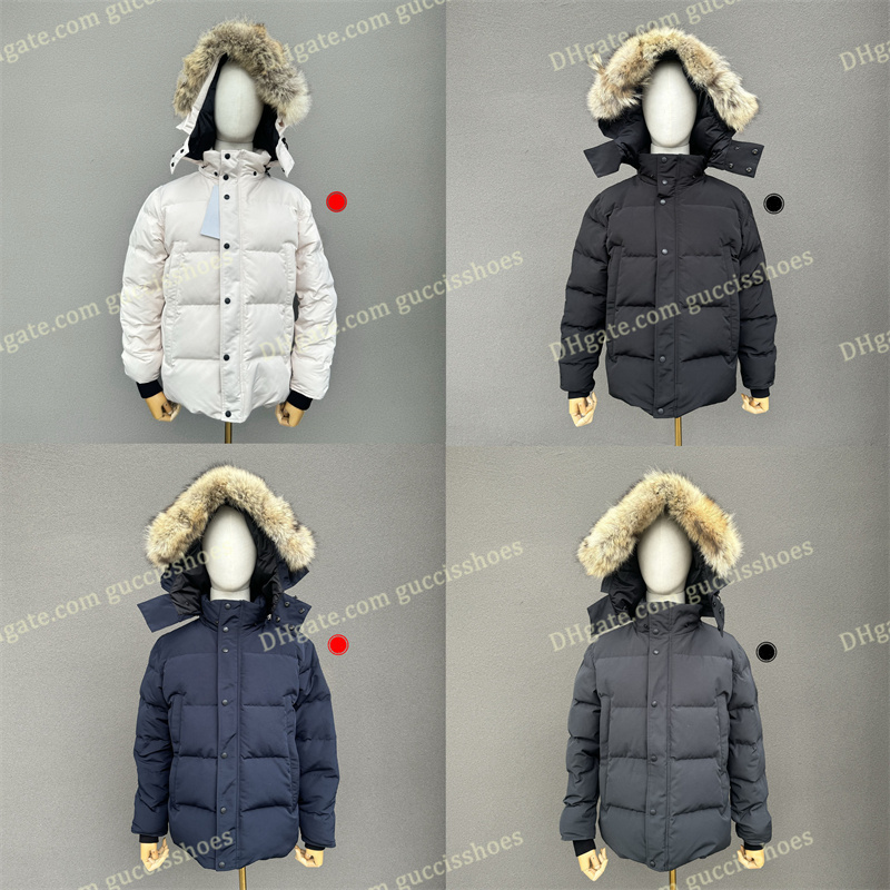 Puffer Jackets Men … - image