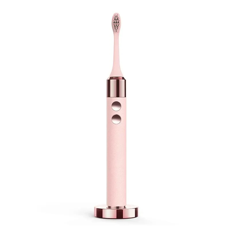Electric Toothbrush for Adult 2 Brush Heads IPX8 Waterproof Gift Box Packing Intelligent Memory Gear Dupont Antibacterial