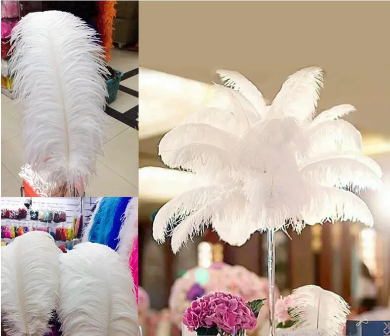 ostrich feathers for Wedding centerpiece Table centerpieces Party Decoraction supply multi color many size to choose