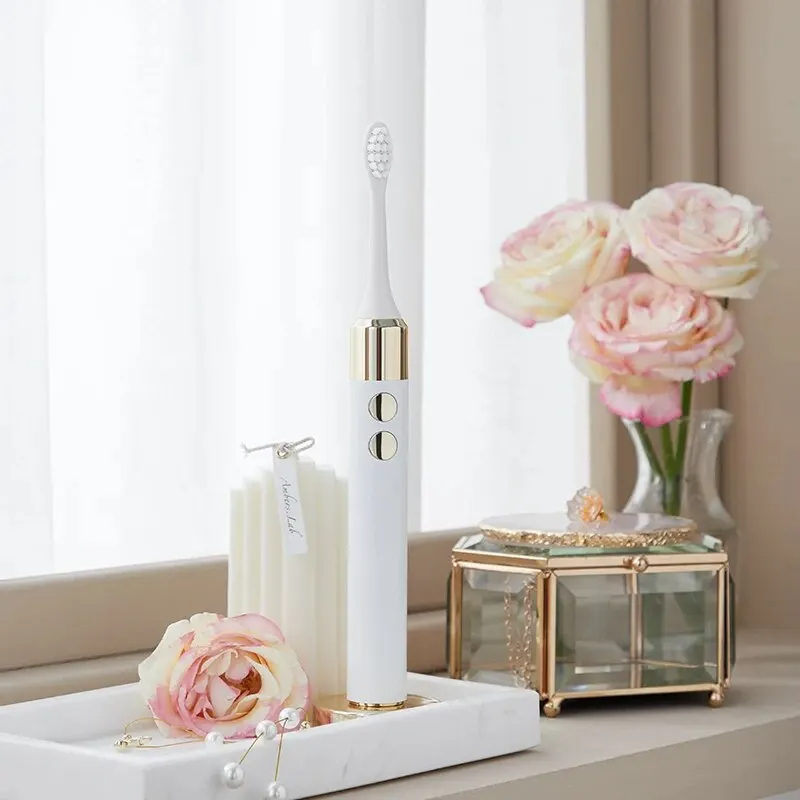 Electric Toothbrush for Adult 2 Brush Heads IPX8 Waterproof Gift Box Packing Intelligent Memory Gear Dupont Antibacterial