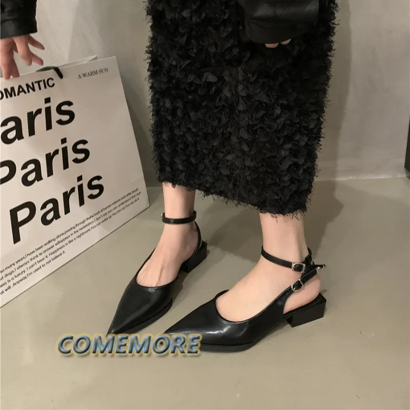 2024 Summer Spring Pointed Toe Women's Sandal Fashion Ankle Strap Ladies Elegant Slingback Shoes Square Low Heel Dress Muje 240615