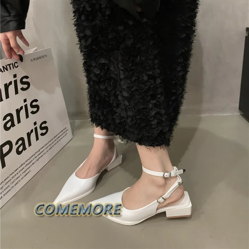 2024 Summer Spring Pointed Toe Women's Sandal Fashion Ankle Strap Ladies Elegant Slingback Shoes Square Low Heel Dress Muje 240615
